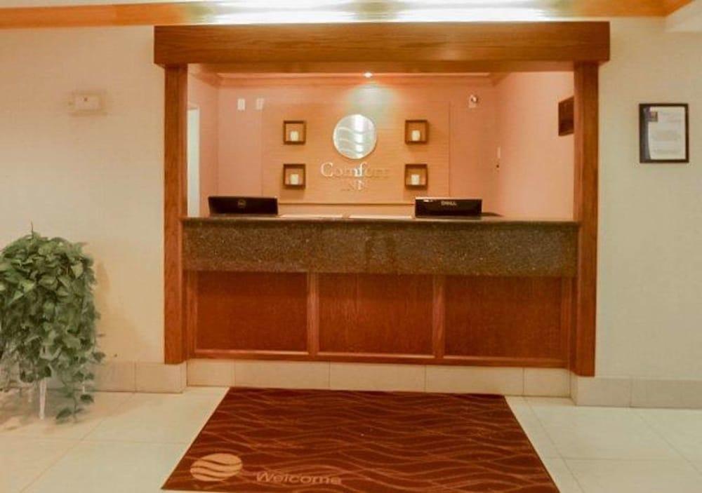 Comfort South Inn 3*